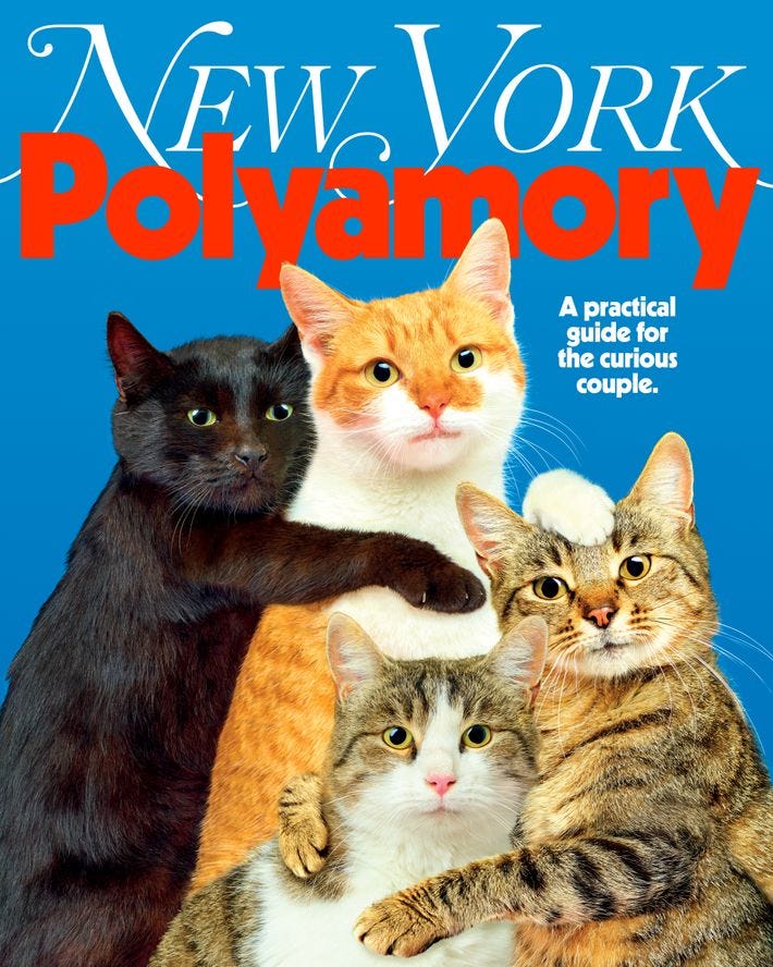 On the Cover of New York: A Practical Guide to Polyamory -- New York Media  Press Room