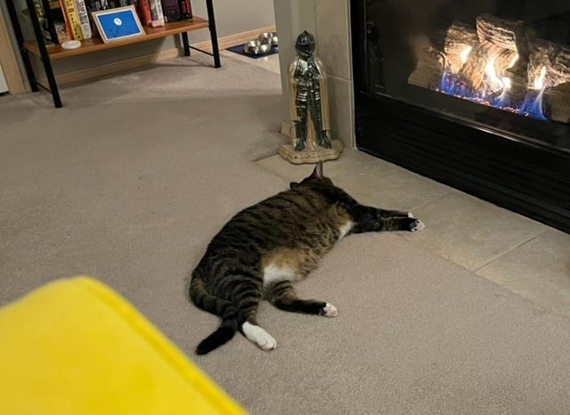 Brown tabby with white markings stretched out in front of cheery flames in the gas fireplace