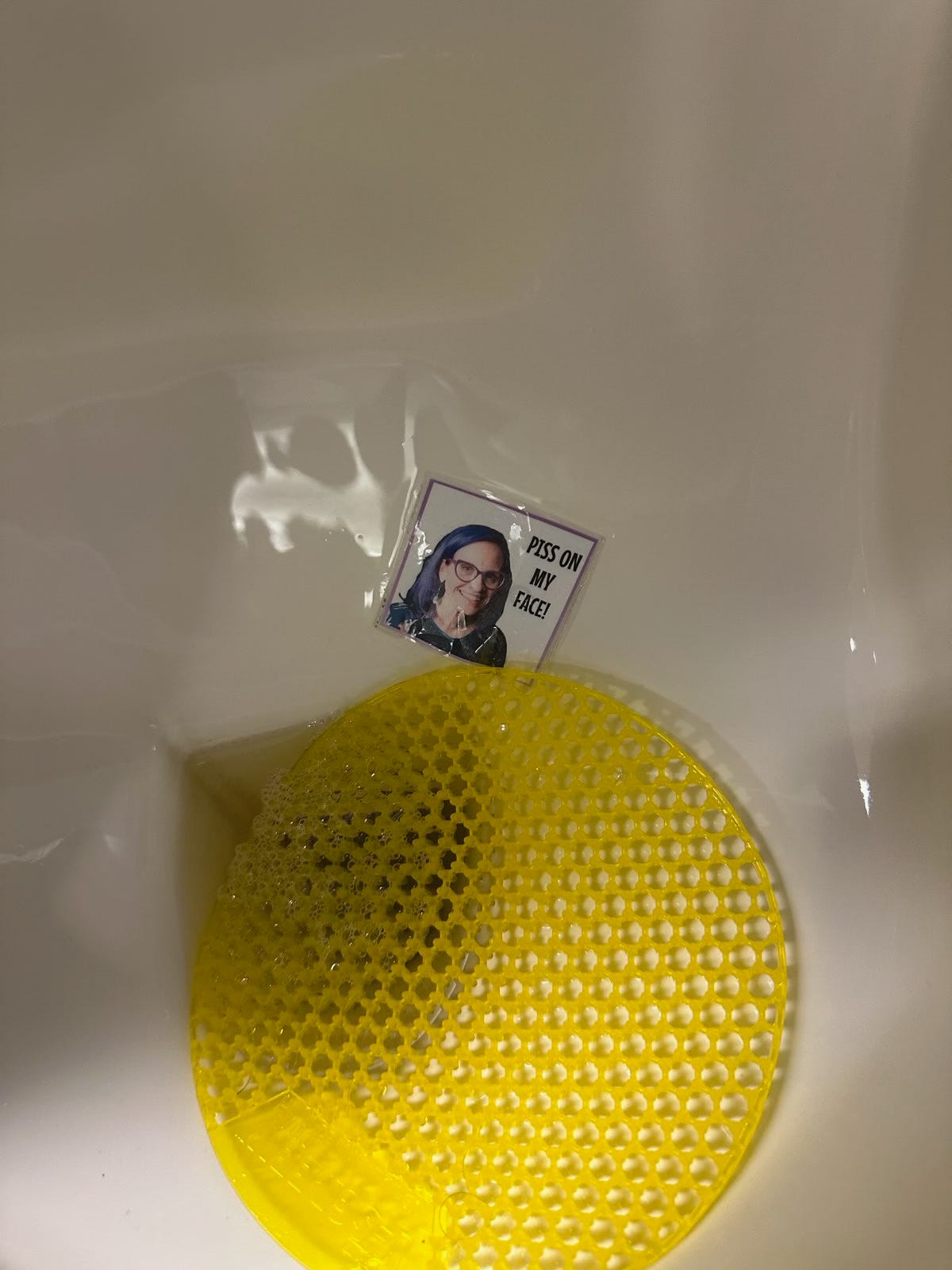 small laminated picture of Amy Arundell with purple hair and glasses with the text "Piss on my face!" in a mens urinal