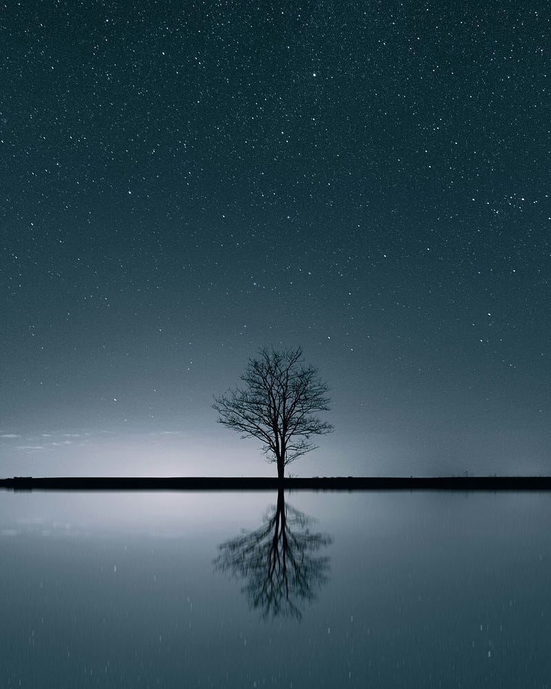 A single tree on the horizon. A single tree on the horizon.