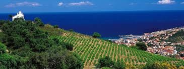 Collioure et Banyuls, terres du bout de la France Génération Vignerons