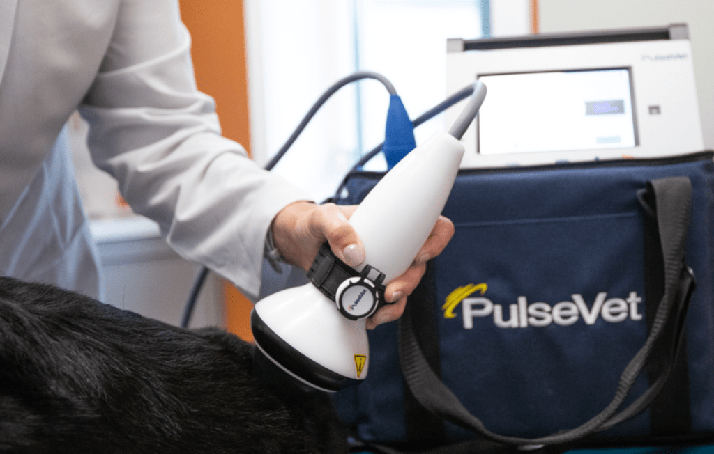 PulseVet | Shock Wave Therapy