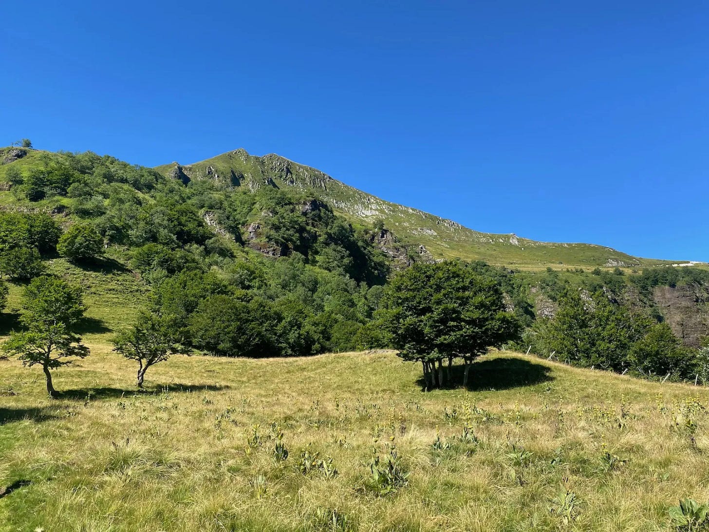 Le Cantal Le Cantal