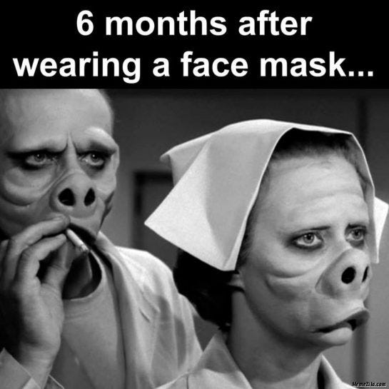 50+ Funniest Face Mask Memes On The Internet You Should Not Miss