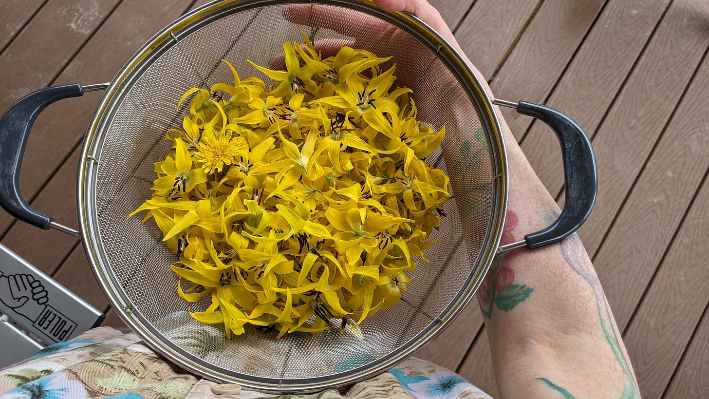 holding a strainer of yellow lilies