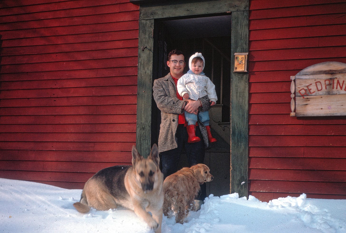 Man holding child in doorway with two dogs