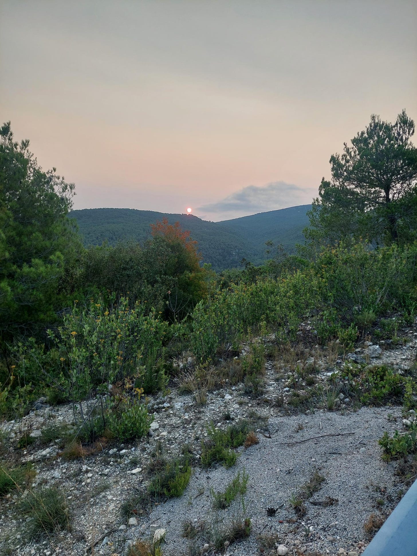 The sun rises over the Catalan hills, August 2024