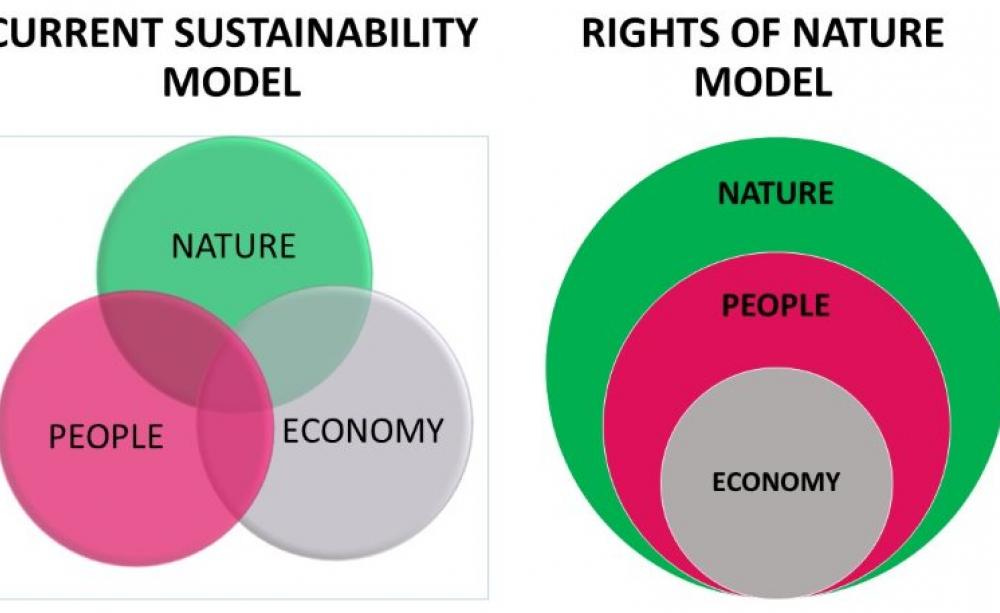 Nature's rights: a new paradigm for environmental protection Nature's rights: a new paradigm for environmental protection