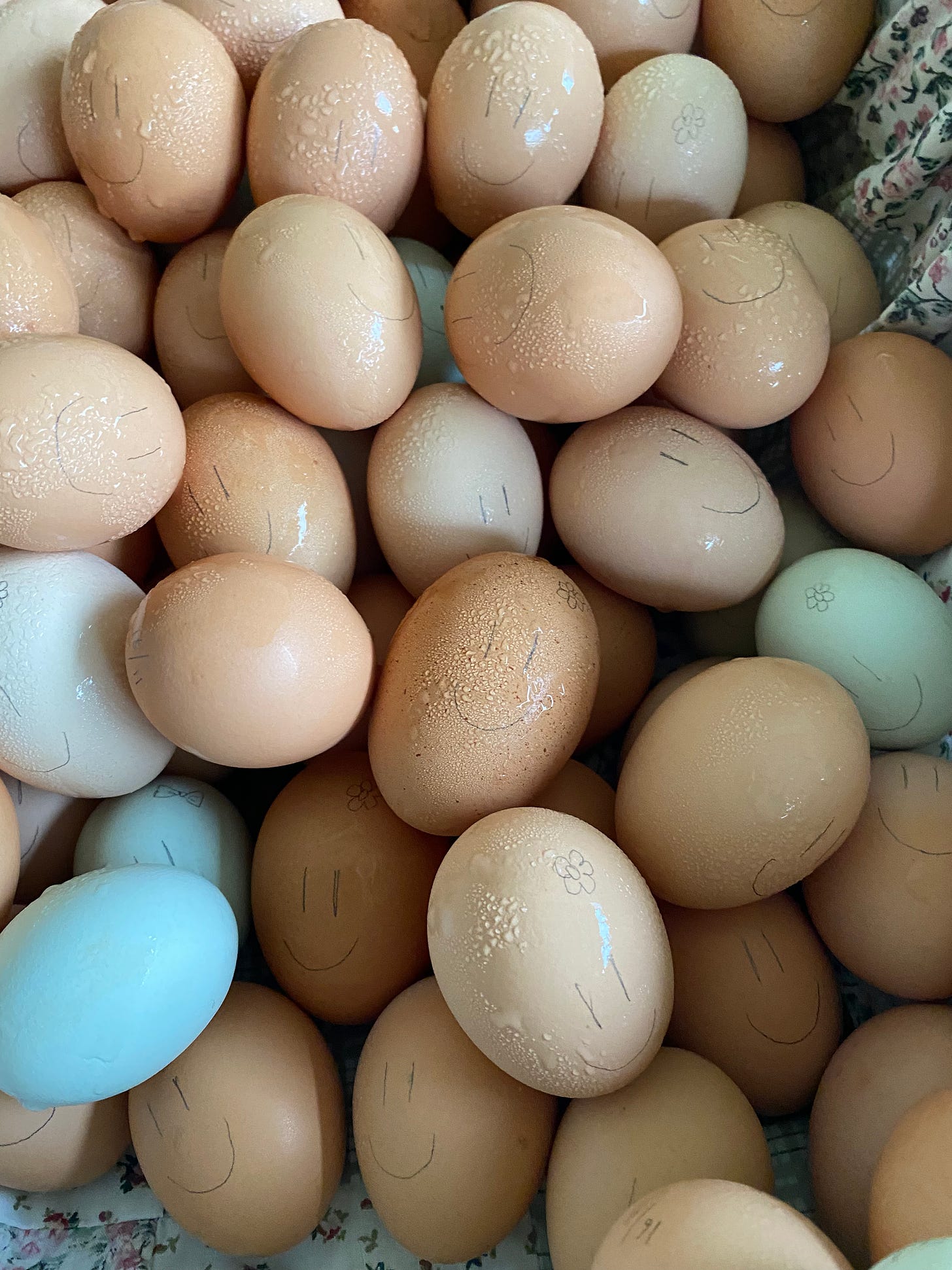 Eggs of varying sizes in hues of brown, white and blue in a basket. With happy faces =) drawn in pencil