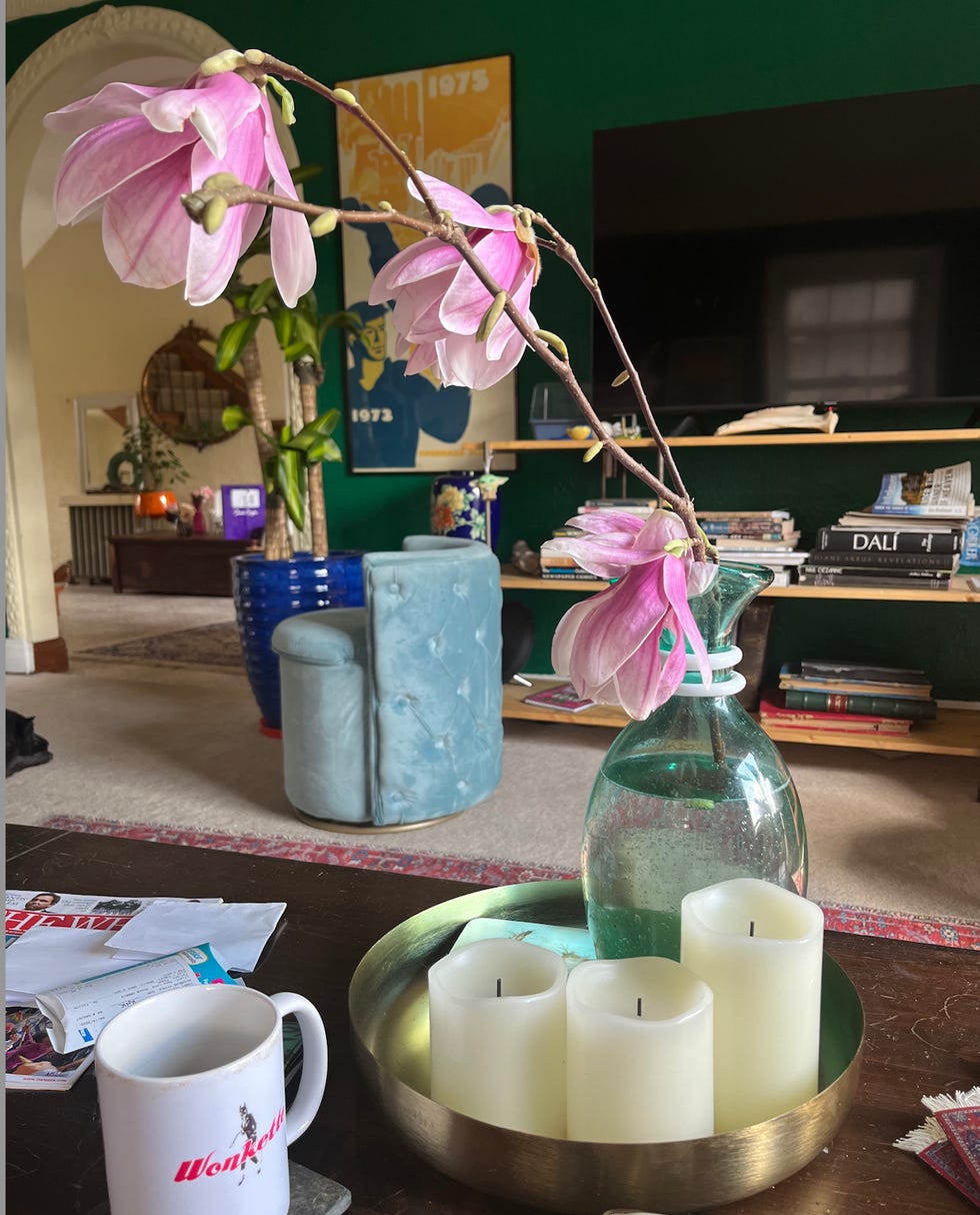 Magnolia branch on my coffee table