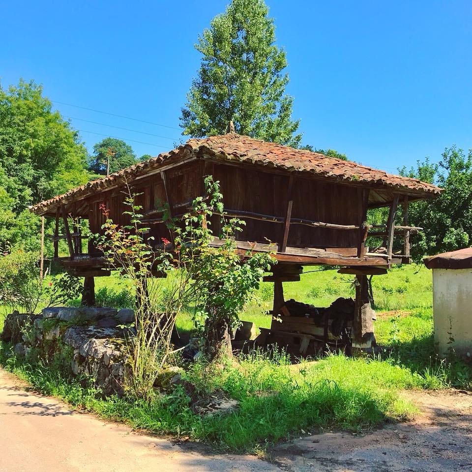 tipico granaio delle asturie, una costruzione di legno elevata su palafitte tra i campi
