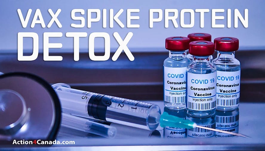 Az első Spike Protein Detox Protocol, a Journal of American Physicians and Surgeons: Mi a kezelés