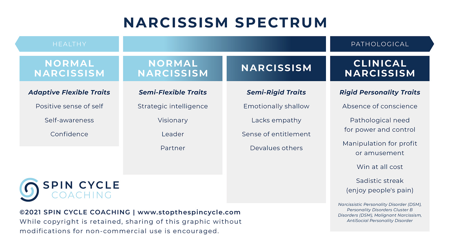 What Is Narcissistic Abuse?| Spin Cycle Coaching — Spin Cycle Coaching