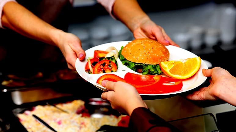 heavy metals pesticides us school lunches