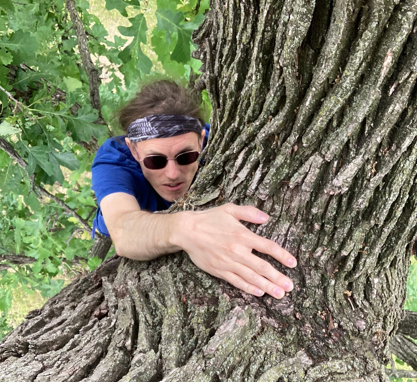 The author, seen from above, with their hand on a notch in the tree, looking upward and ready to climb.