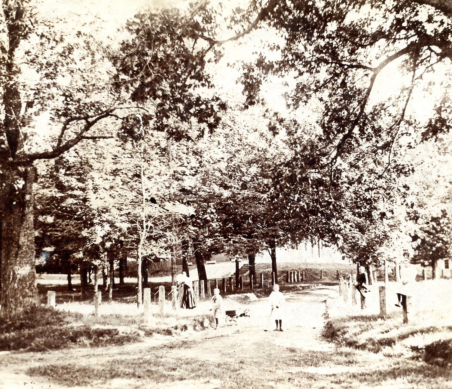 Four people standing in road at Appleton Academy