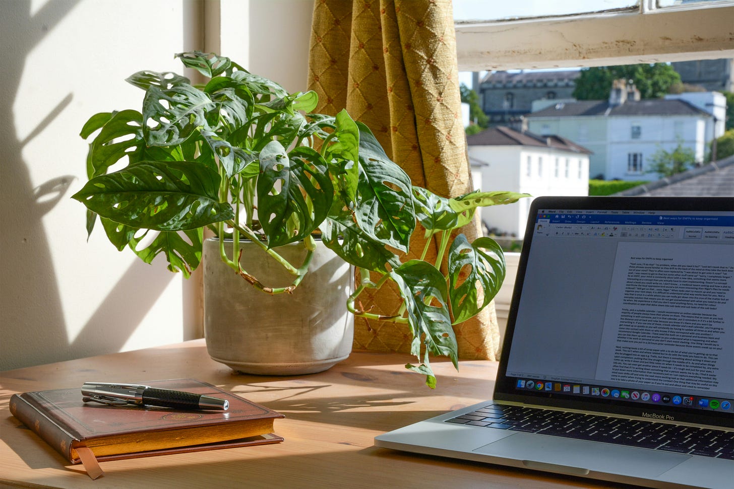 desk with laptop and desk potted plant by window