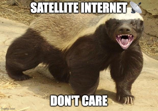 A "Honey Badger Don't Care" Meme that says "Satellite Internet Don't Care"