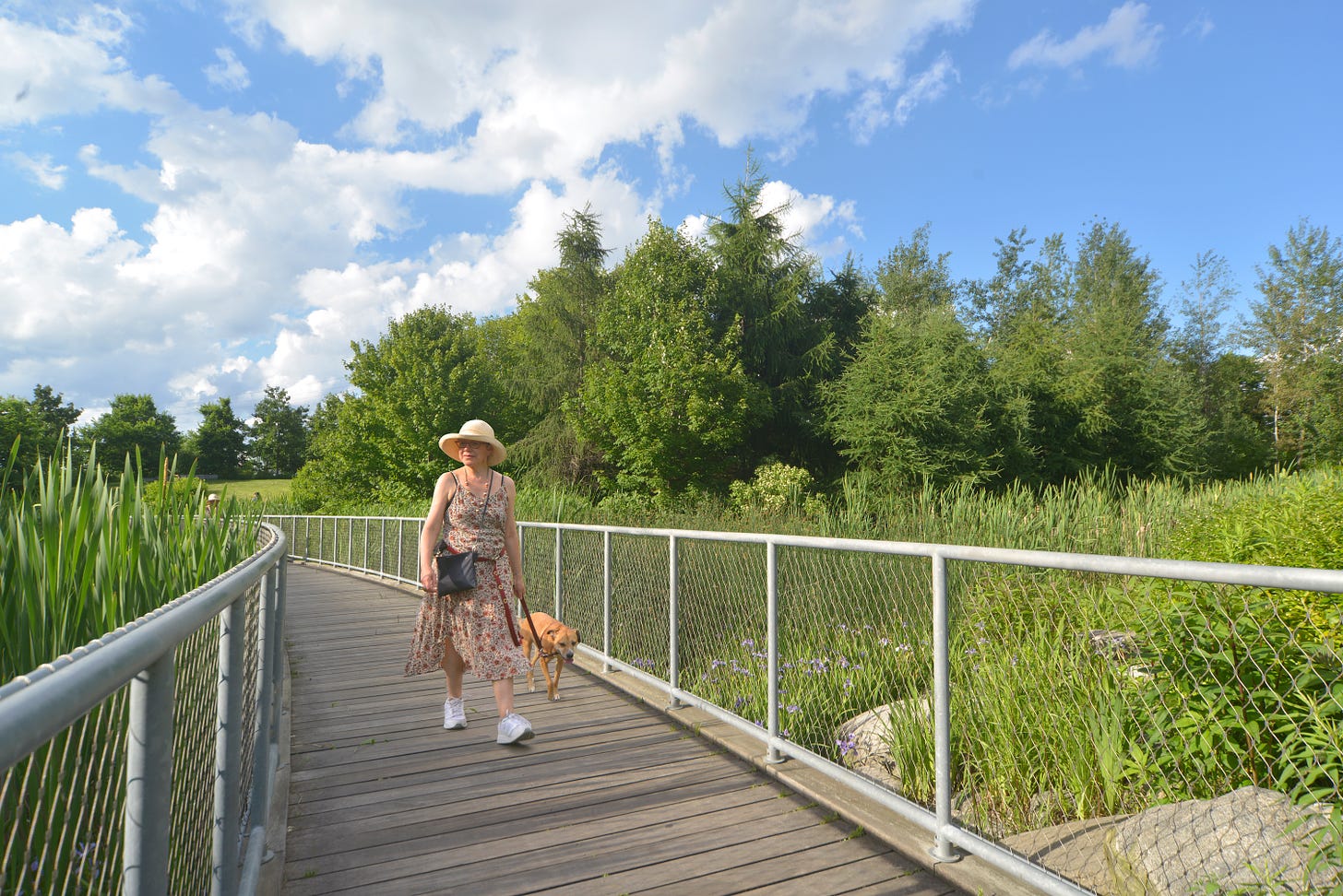 Woman and dog on a footbridge