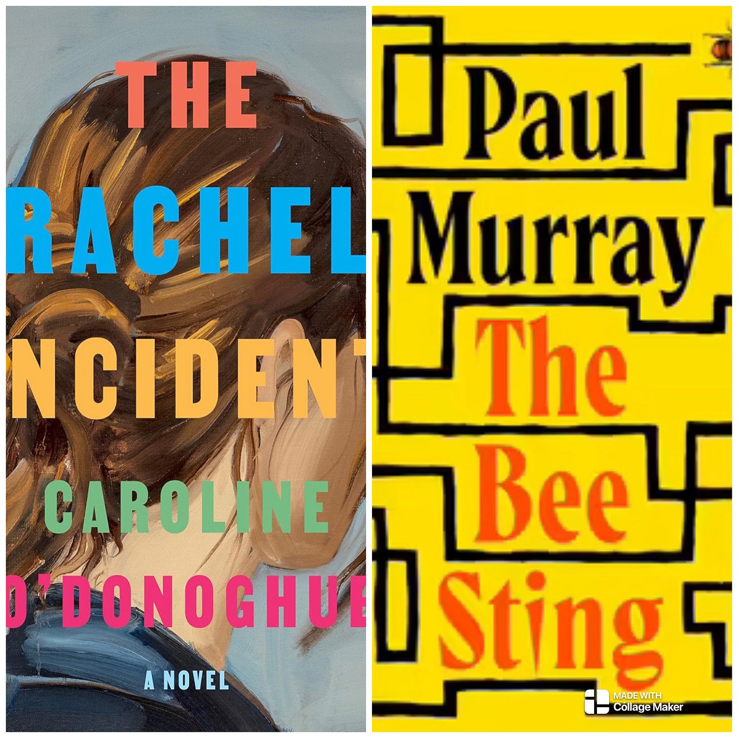 Image of the cover of The Rachel Incident, featuring a painting of a woman looking away, next to the Cover of The Bee Sting, a bright yellow cover with black lines drawn over it 