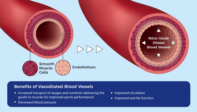 A Natural Approach to Boosting Nitric Oxide - Xtendlife Natural Products