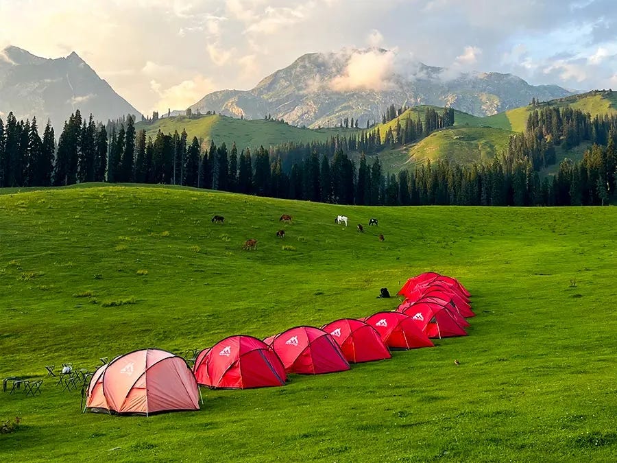 Camp setup in Nafran Valley