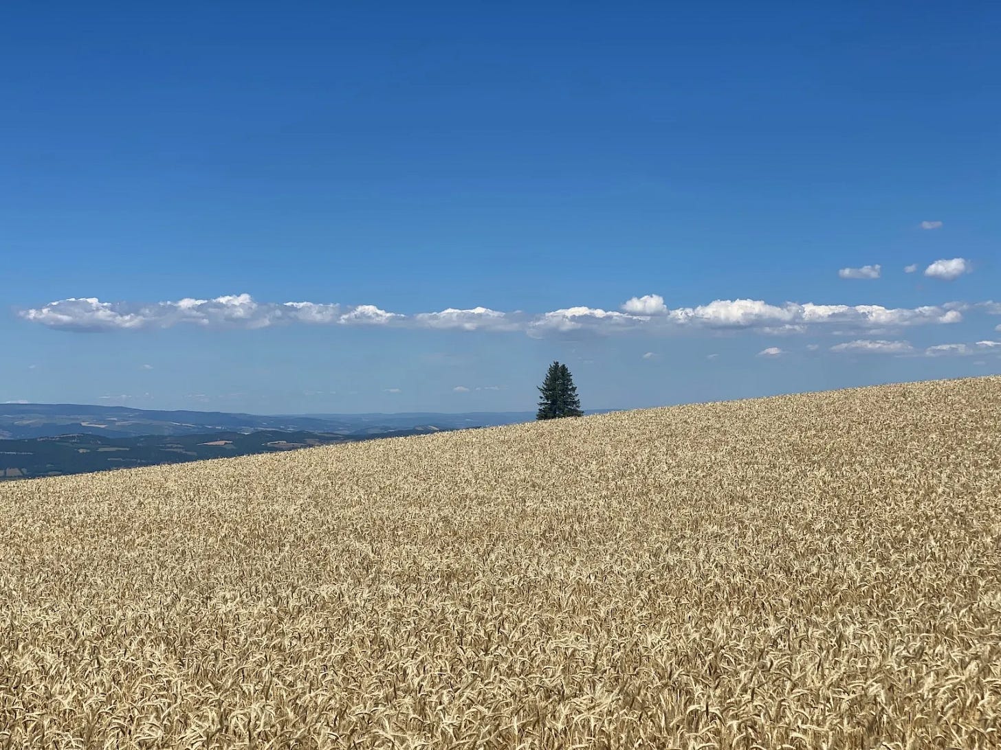 Aveyron Aveyron