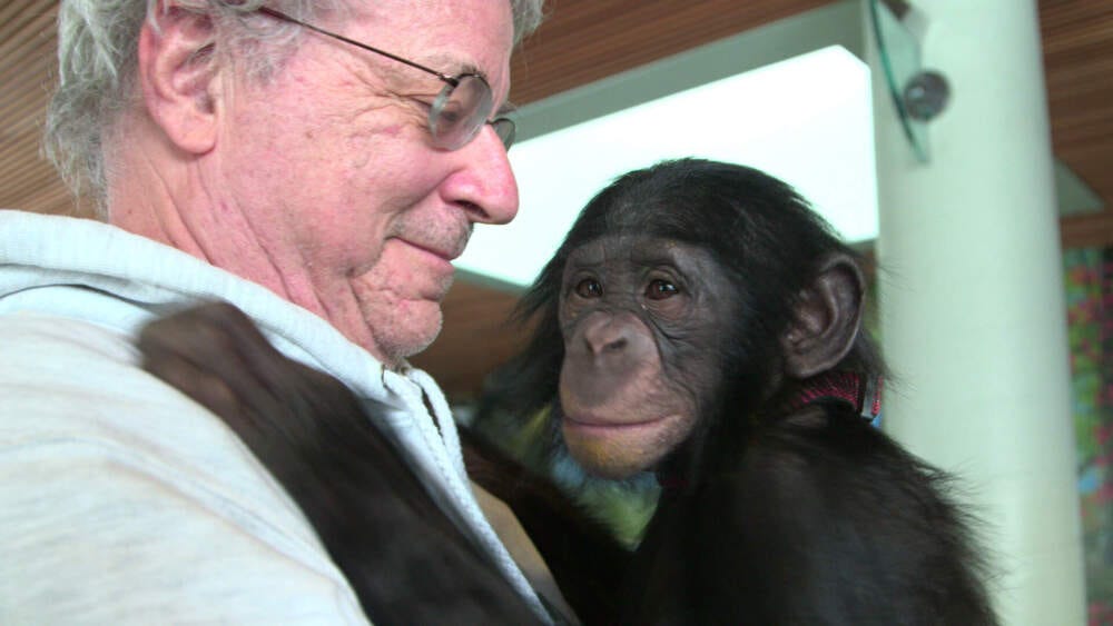 Steven Wise fought tirelessly for animal personhood. We humans are better for it | Cognoscenti