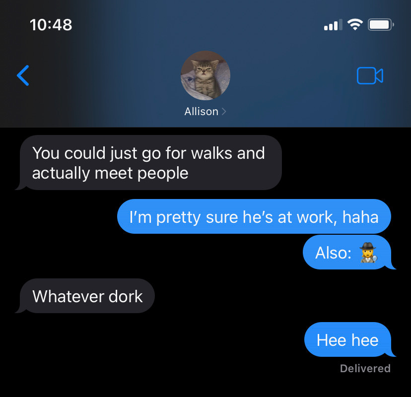 Allison texting me: "you could just go for walks and actually meet people"  me: "I'm pretty sure he's at work" followed by the spy emoji. Allison: "whatever, dork" 