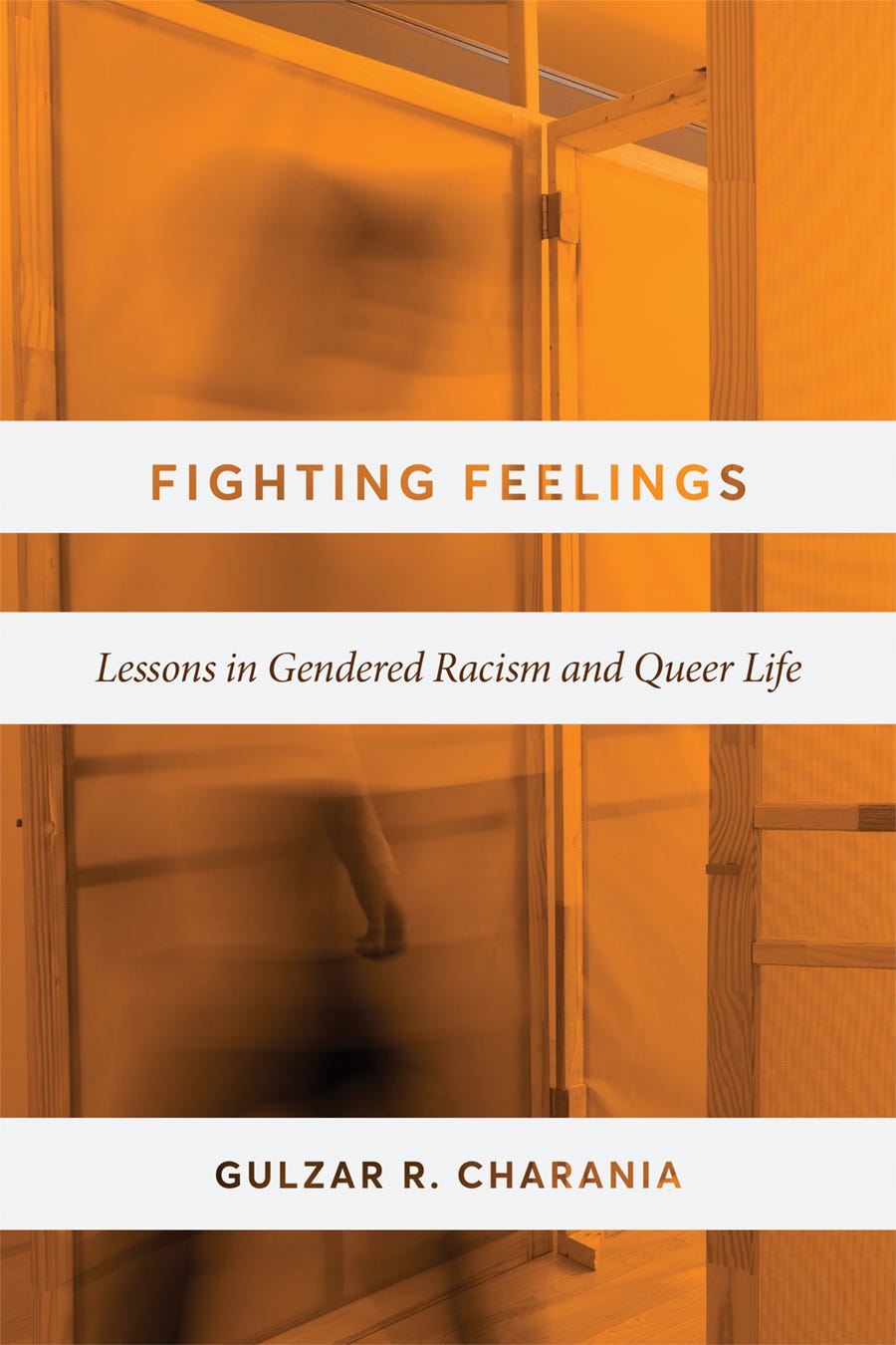 Book cover for Fighting Feelings