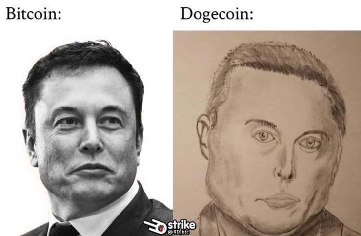 Elon loves Dogecoin (and the memes) - this is good for DOGE