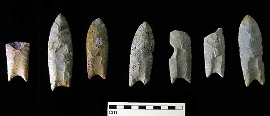 The blades of the Clovis culture had distinctively shaped stone spear points, bifacial and typically fluted on both sides, known as the Clovis point. (Public License).