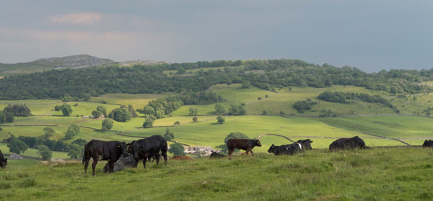 Above Norber, Yorkshire Dales