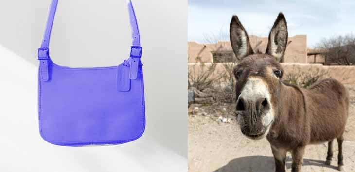 Photo of a handbag and a donkey.