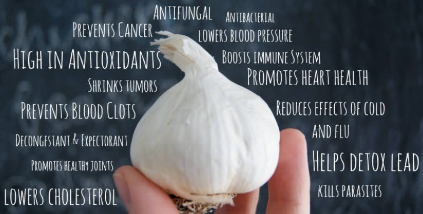 Garlic health benefits