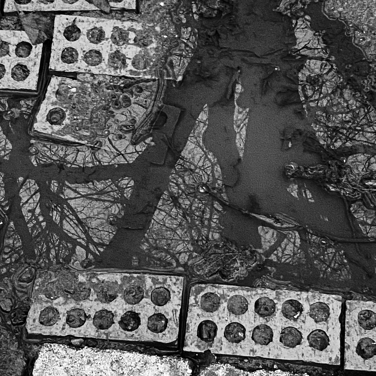 A black and white image of a muddy puddle, with tree details reflected between brick and rubble.