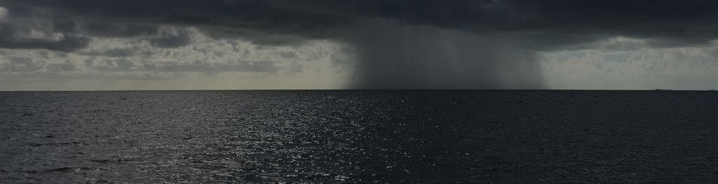 What is the difference between rain and showers? - Met Office