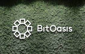 BitOasis working with Dubai's virtual assets regulator after licence  suspension