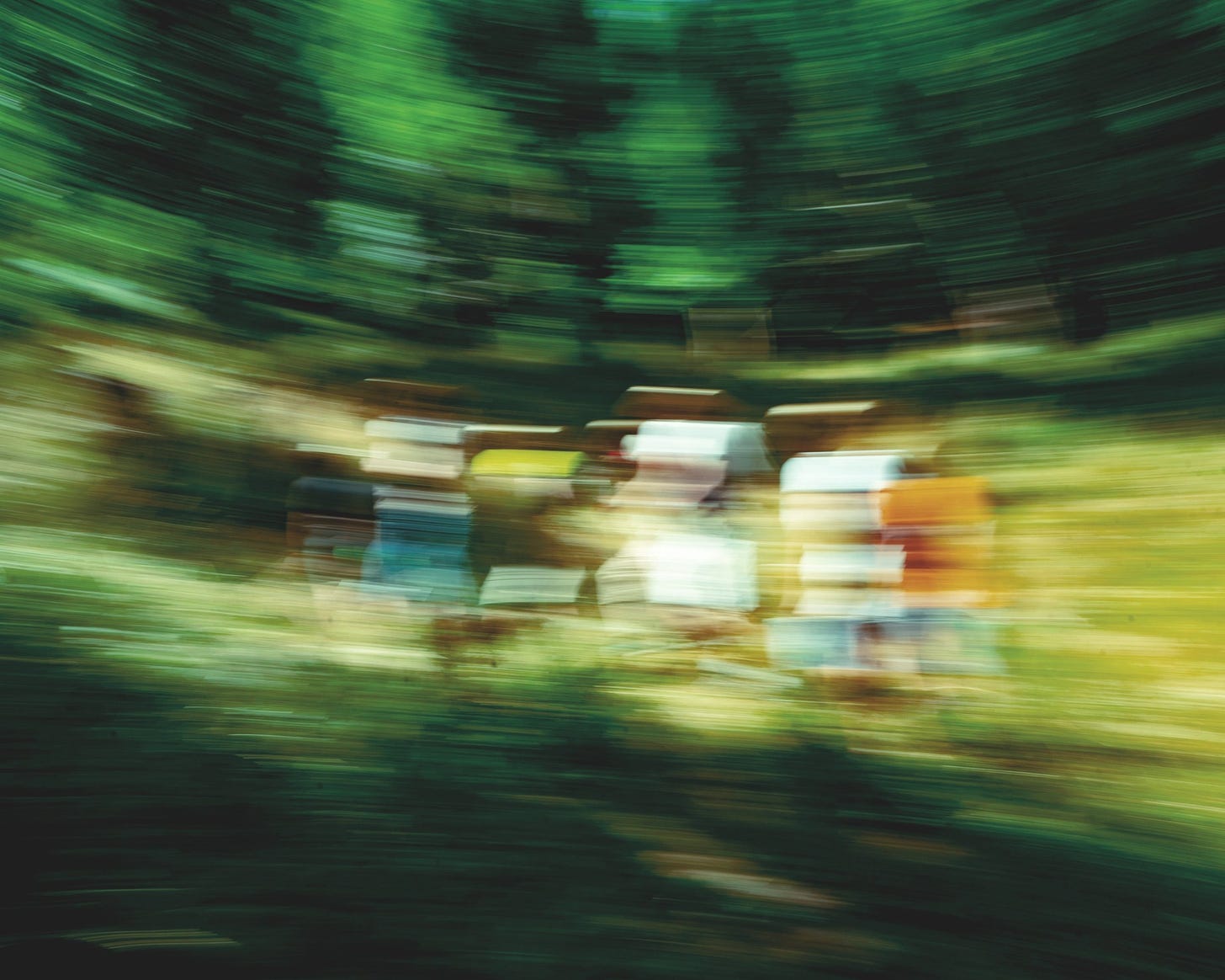 A blurry shot of people walking in nature in Europe.