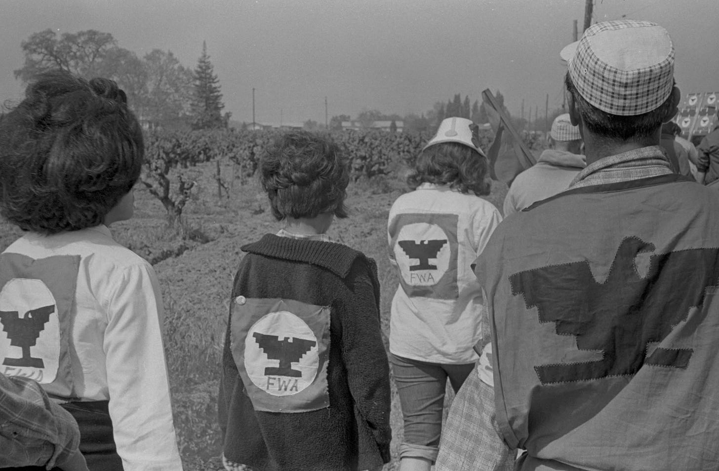 A group of marchers seen from behind wearing Thunderbird shirts during the march to Sacramento in 1966. The shirts say FWA, for Farm Workers Association. Photo by John Kouns © Tom and Ethel Bradley Center