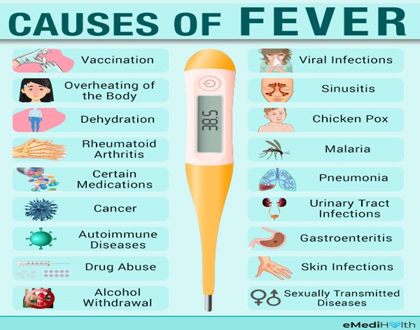Fever table 