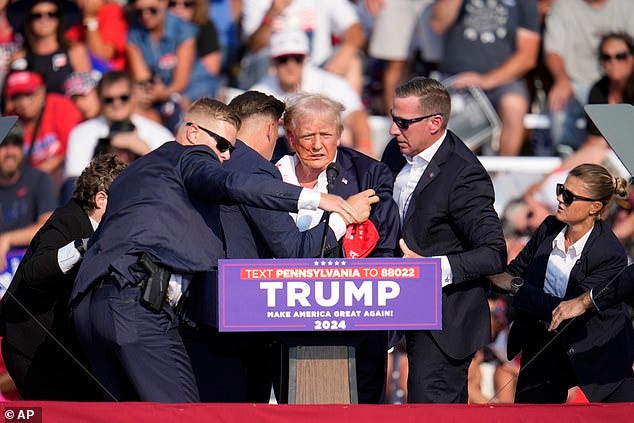 Donald Trump appeared to be shot in the ear as shots were fired at the former president at a rally in Pennsylvania