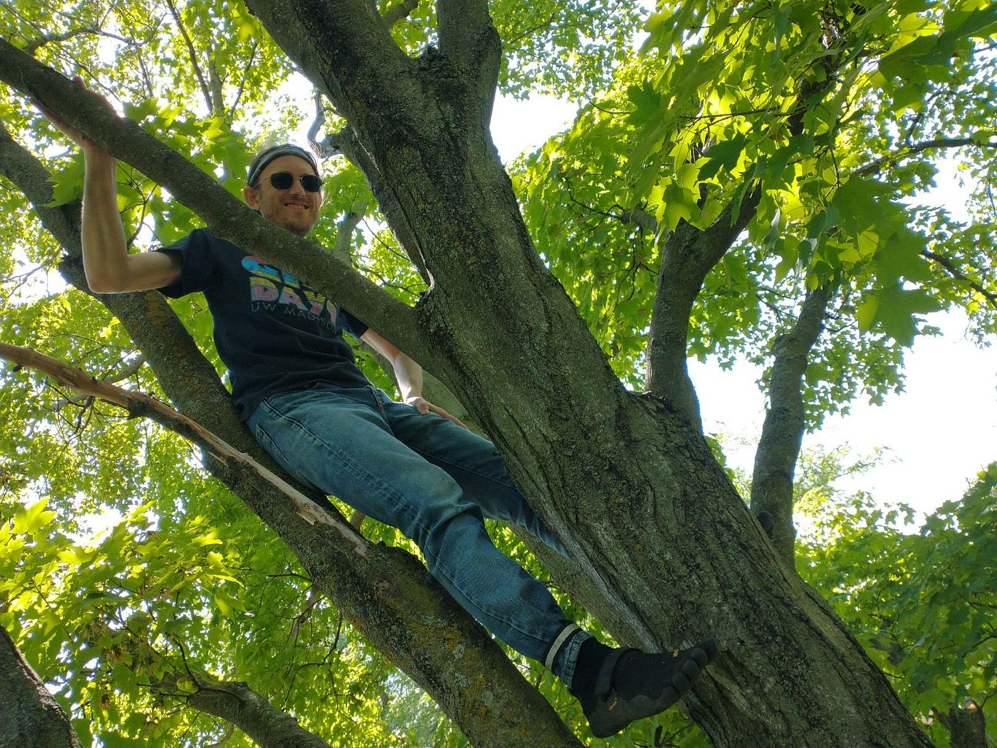 Me, in a tree, smiling.