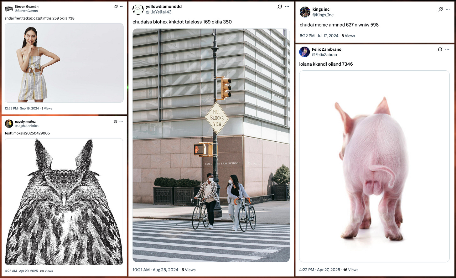 collage of nonsense posts from the network