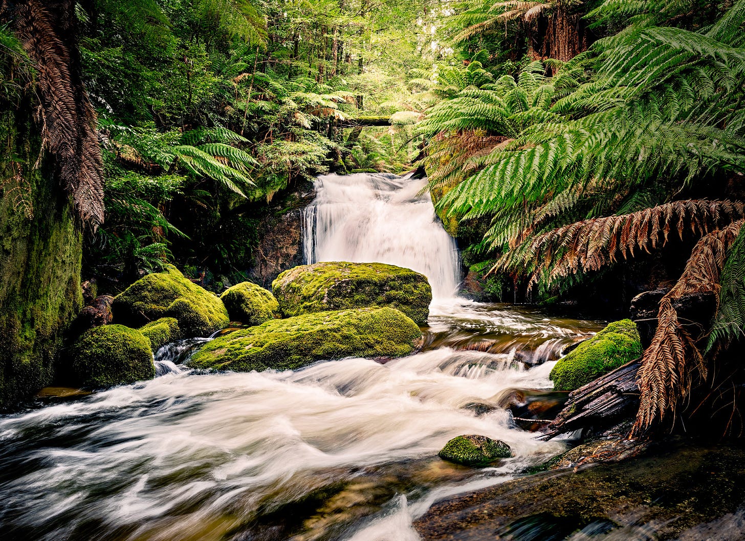 Unnamed waterfall found in Victoria's central highlands