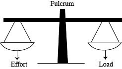 Draw a diagram to illustrate the positions of fulcrum, load and effort, for  a beam balance.