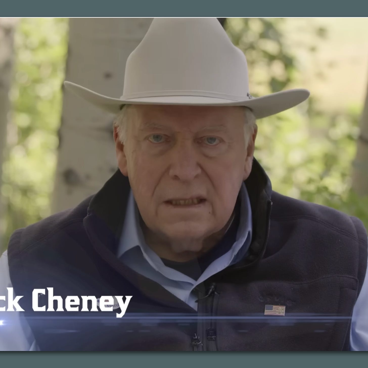 Viral Dick Cheney ad to air on Fox News ahead of Wyoming primary