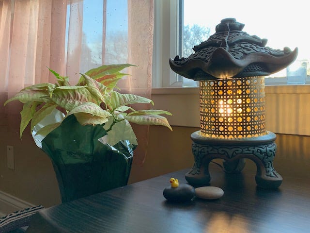 image of a lantern and indoor plant.
