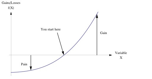 Understanding Taleb's convexity paper