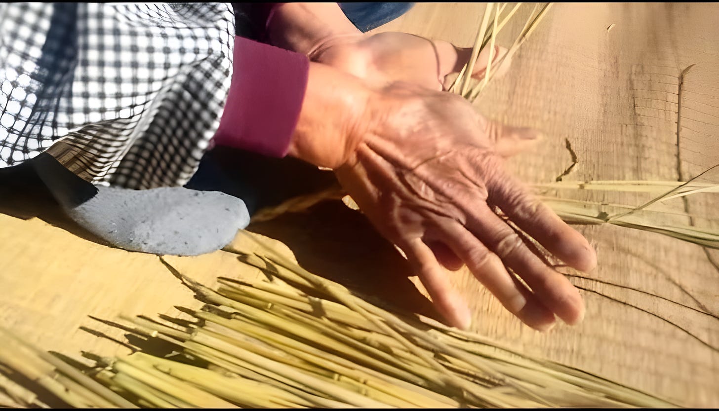 Manos de una persona trabajando con paja de arroz sobre una superficie de madera. La imagen muestra el movimiento de las manos mientras frotan las fibras, con detalles de la piel y las arrugas que reflejan la habilidad y experiencia. Al fondo, se aprecian tallos de paja dispuestos para el proceso de tejido.